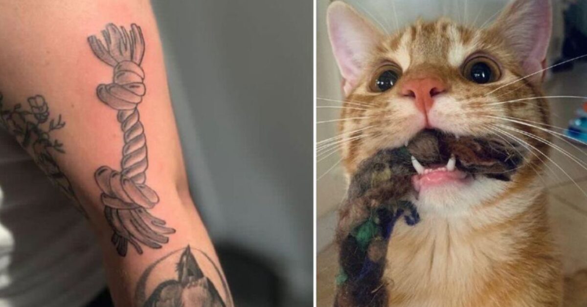 Questa Donna Si Fatta Un Tatuaggio Unico Non C Il Suo Gatto Ma Il