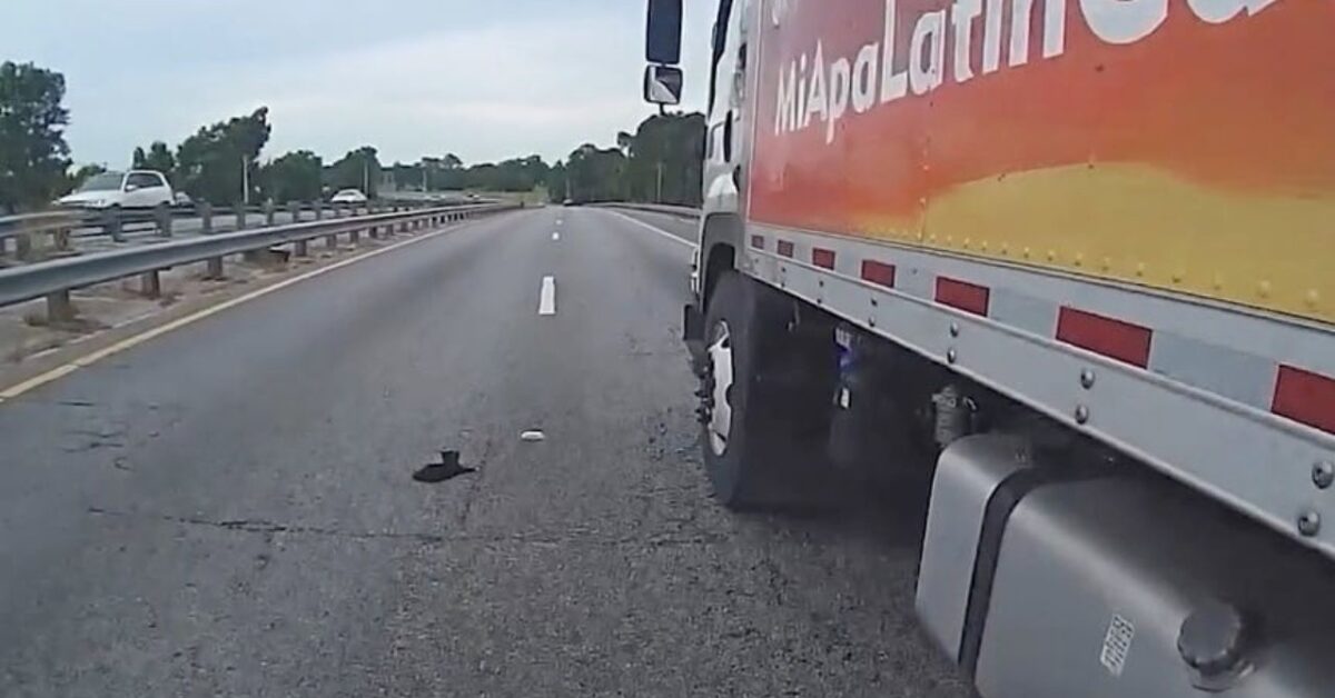 Il Camionista Blocca Il Traffico In Autostrada Pur Di Salvare Il