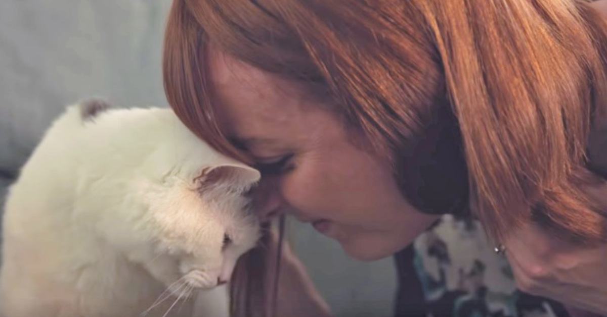 Theo, il gattino che ha salvato la vita alla sua proprietaria