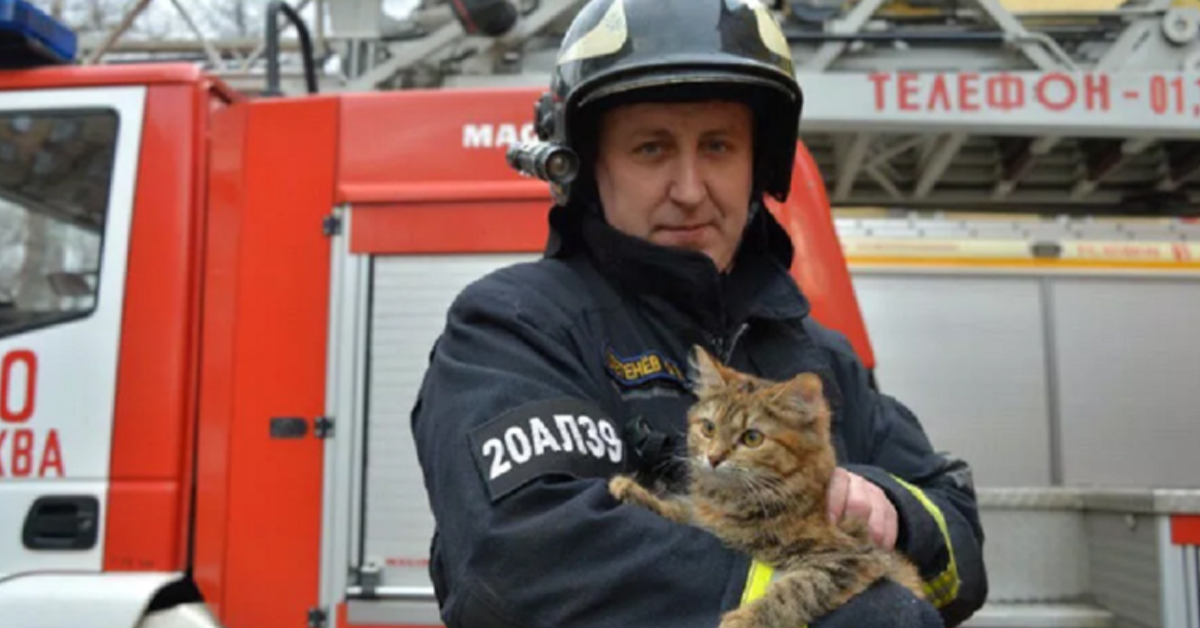 Tushila, il gattino salvato da un incendio che ora è la mascotte dei Pompieri