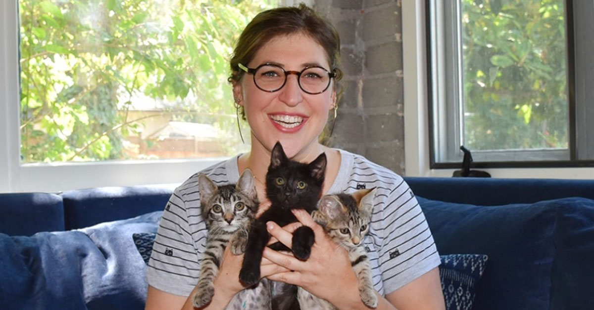 Mayim Bialik con tre gattini