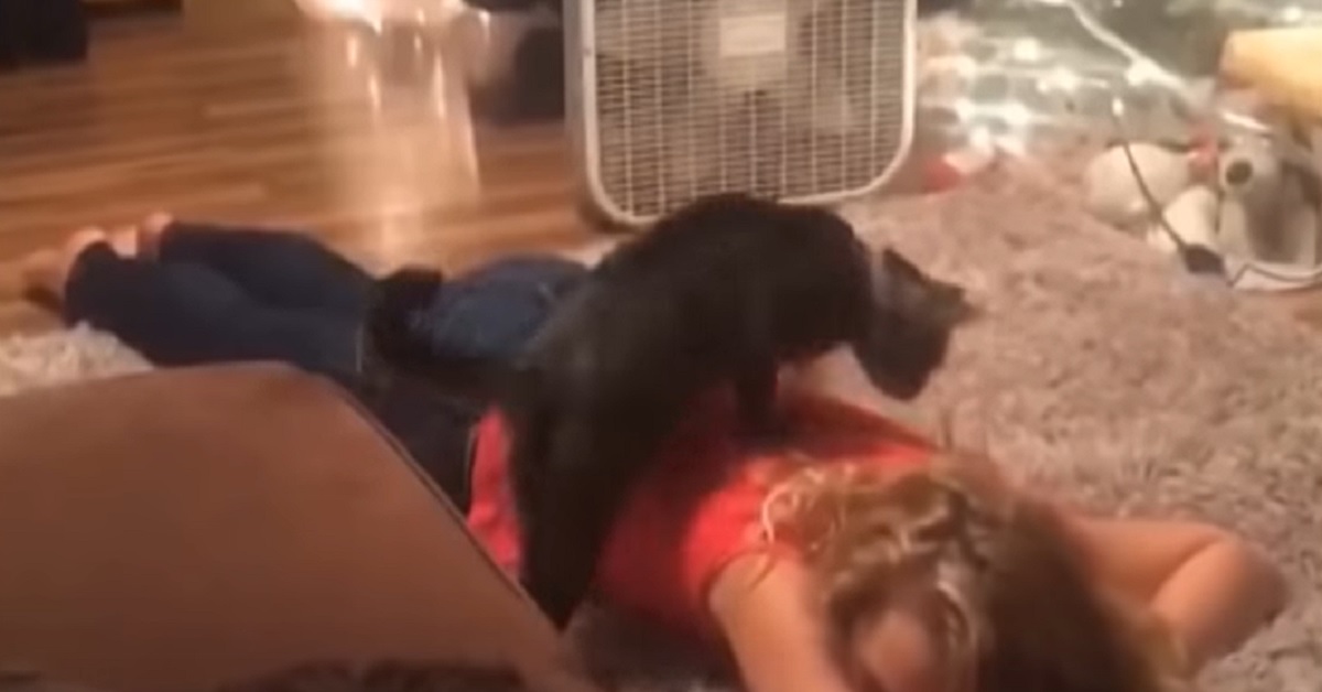 Il gattino si accorge che la mamma sta piangendo, la sua reazione in video è a dir poco incredibile