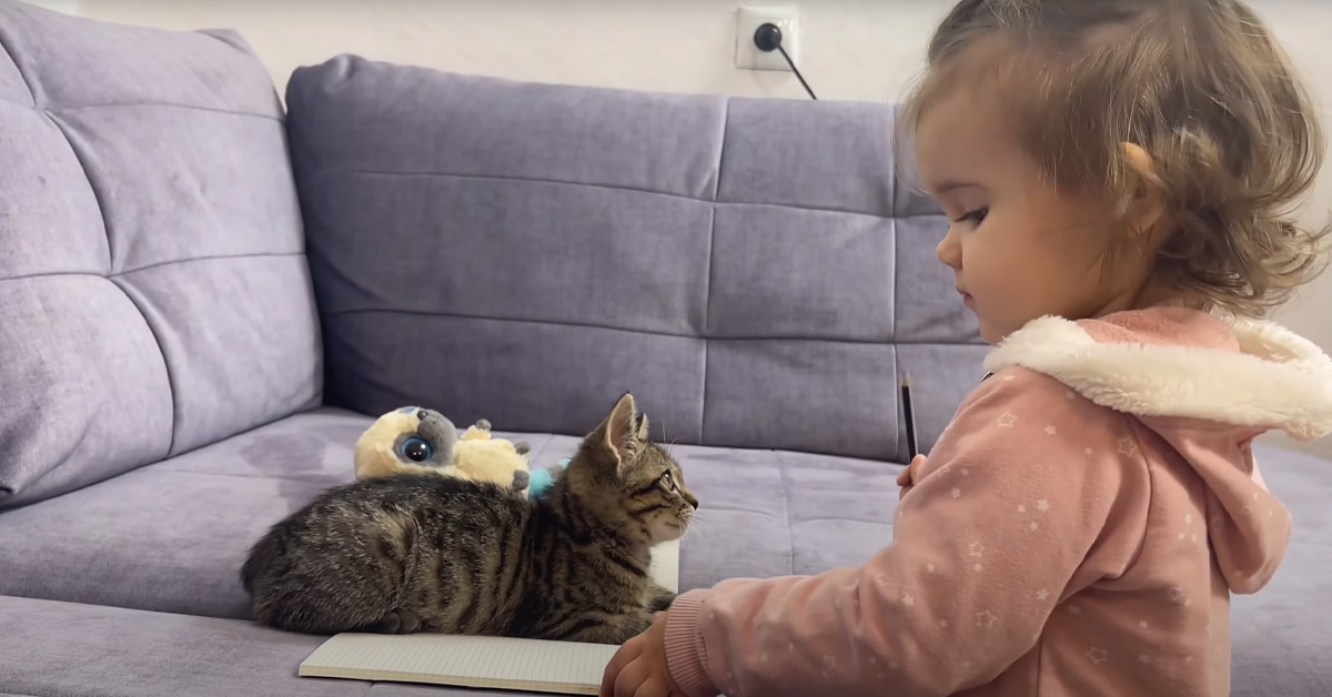 Il gattino non lascia disegnare la sua amica bambina e il momento è magico (video)