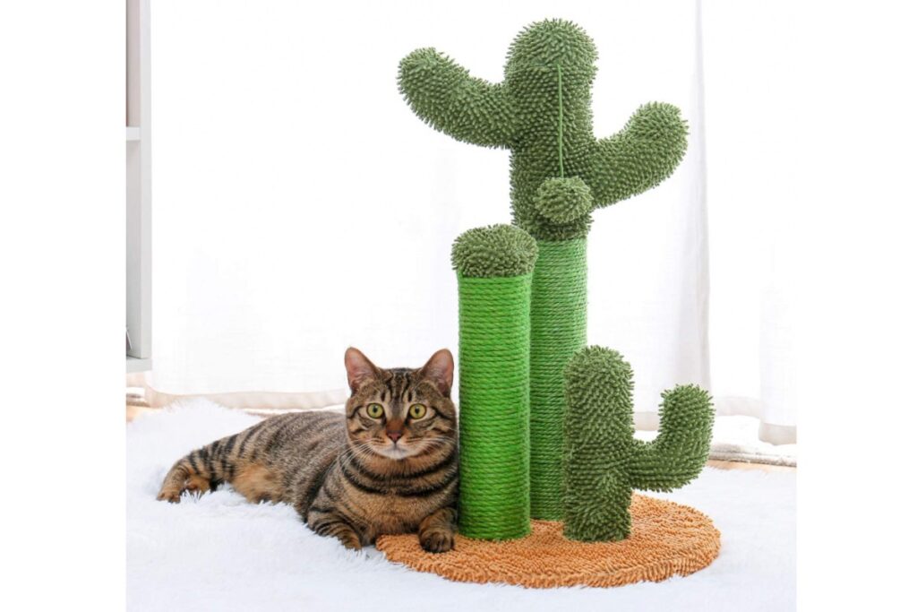 tiragraffi a forma di cactus