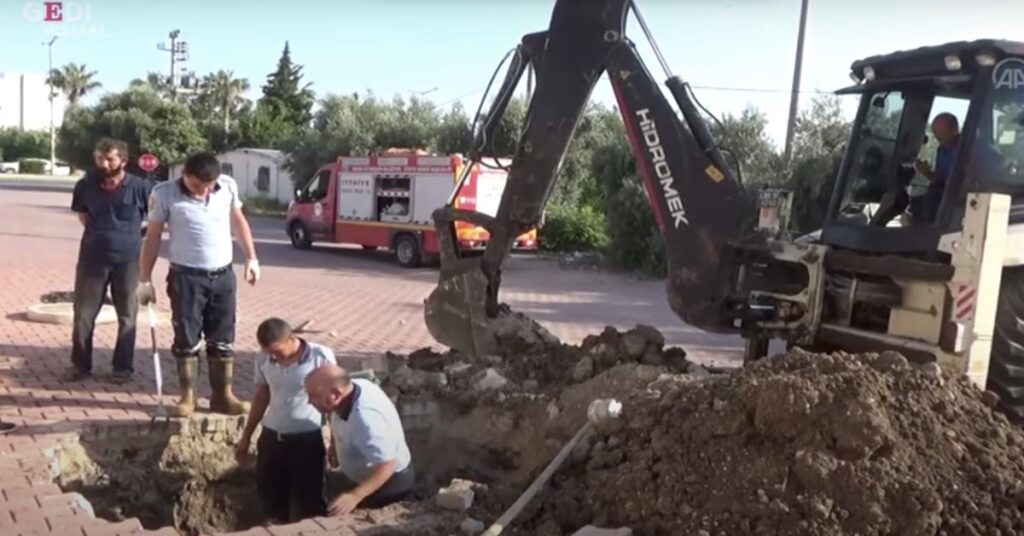 pompieri salvano un gatto in Turchia