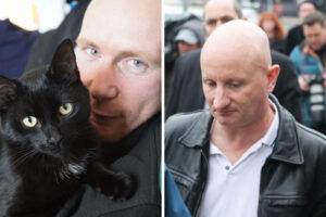 Arriva la condanna per il serial killer dei gatti: 5 anni di reclusione per il maltrattamento immotivato degli animali