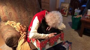 La nonna non smette di piangere quando a Natale le regalano un gattino: la tenera storia