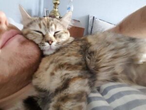 Gracie, la gattina che ogni giorno ringrazia l’umano che l’ha salvata