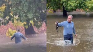 Un uomo si tuffa in un torrente gelato per salvare la vita di un gattino (VIDEO)