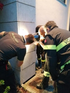 Pisa: gatto incastrato nella canna fumaria salvato dai vigili del fuoco