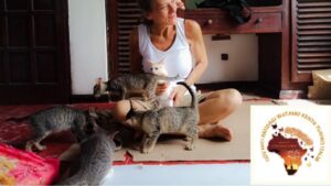 Nicoletta, la donna che ha dedicato la sua vita ai gatti randagi