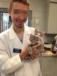 Anna ed Elsa, le gattine nate senza palpebre hanno una nuova vita