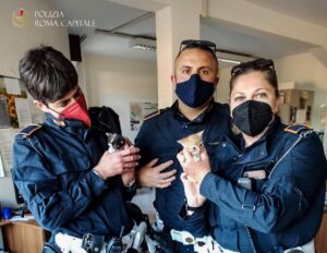 Gattini abbandonati nel bidone della spazzatura