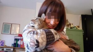 Mandarino, il gatto che ha ritrovato la sua umana dopo 8 anni