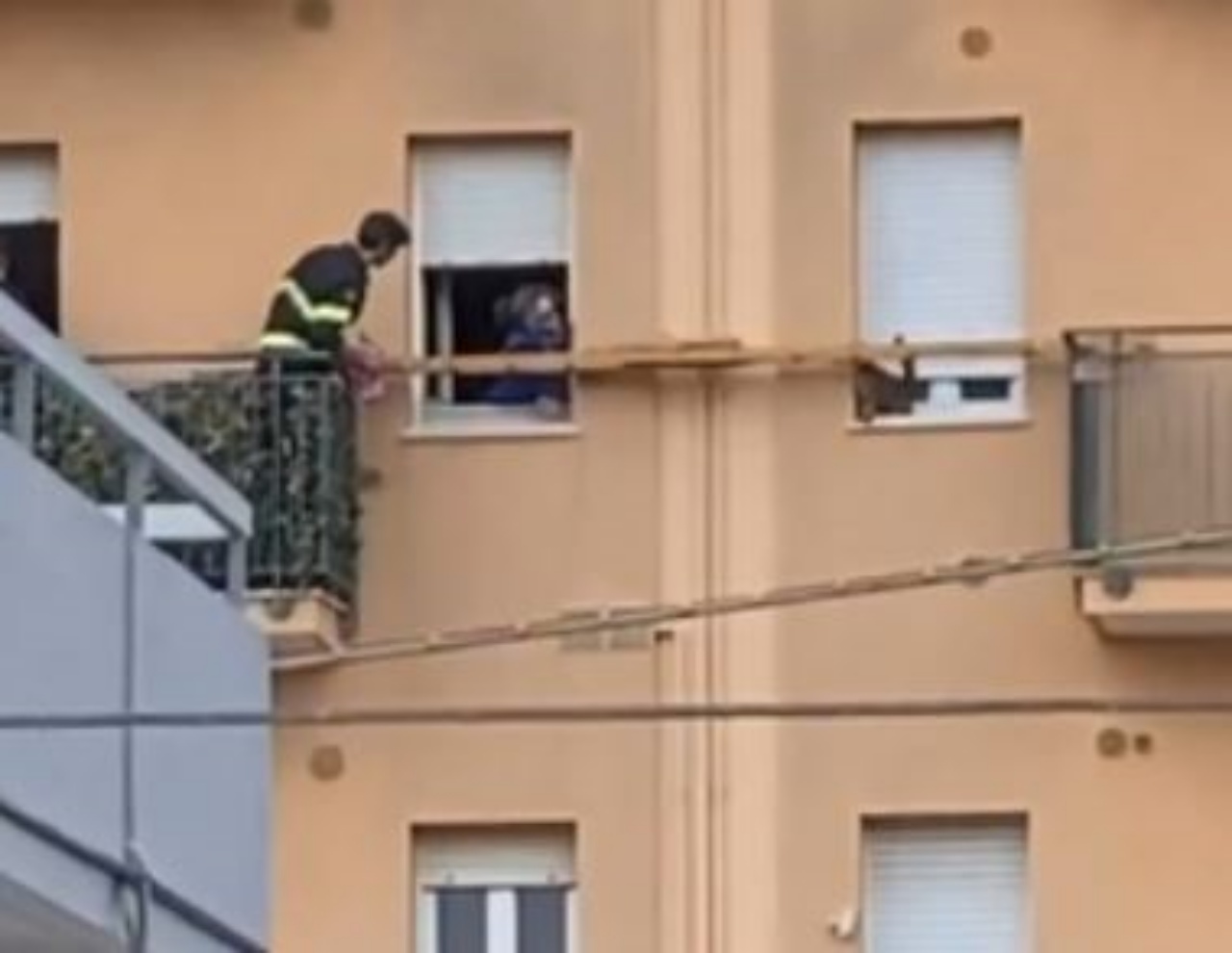 un gatto su una scala e un vigile suo balcone