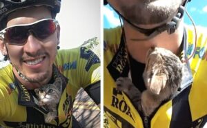 Un ciclista si ferma in mezzo alla strada per aiutare il gattino in difficoltà (VIDEO)