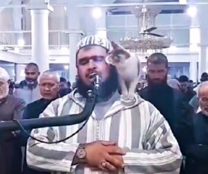 Sorpresa durante la preghiera del Ramadan: un gatto sale sulle spalle dell’Imam e si fa coccolare