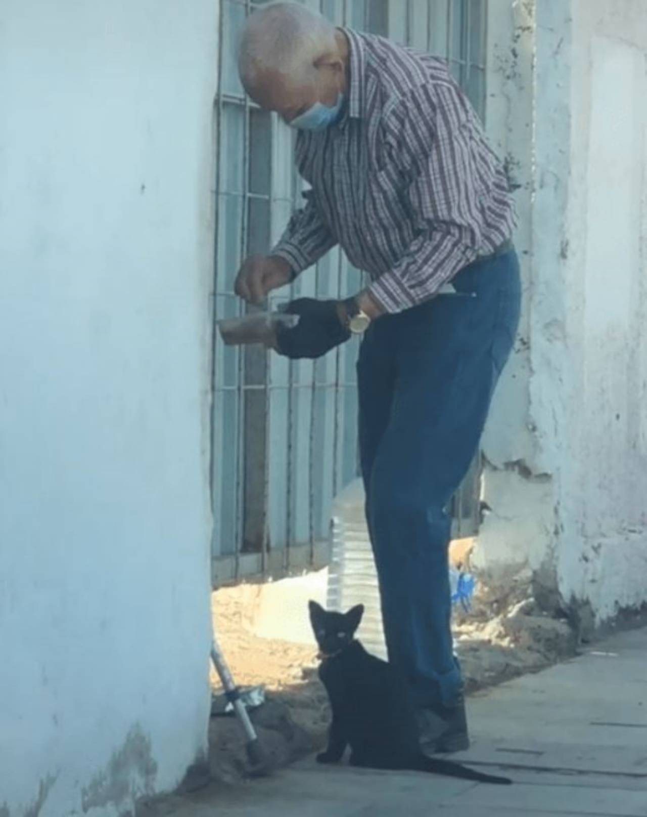 Un gattino nero vicino ad un anziano signore che gli da del cibo