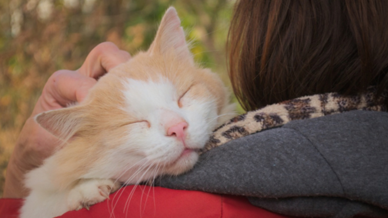 Donna accarezza il gatto