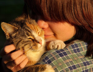 Tu non ci crederai, ma i tuoi gatti capiscono (davvero) se stai parlando con loro