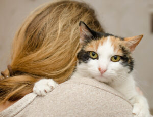 Hai troppe spese per il gatto? Forse il nuovo bonus veterinario può fare al caso tuo