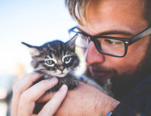 Non ci odiano, ma attenzione: i gatti non vanno neanche così pazzi per noi come immaginiamo