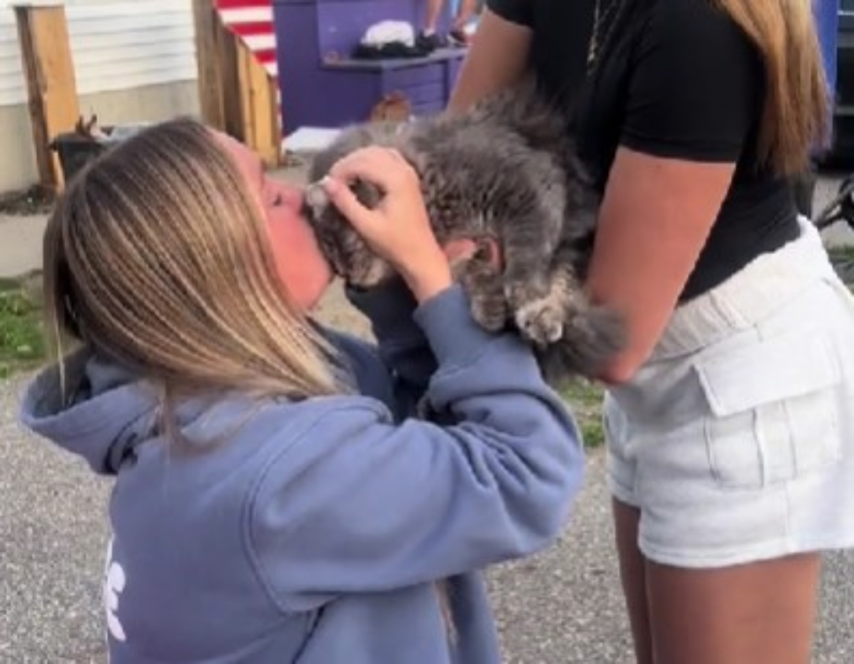 ragazza dice addio al gatto