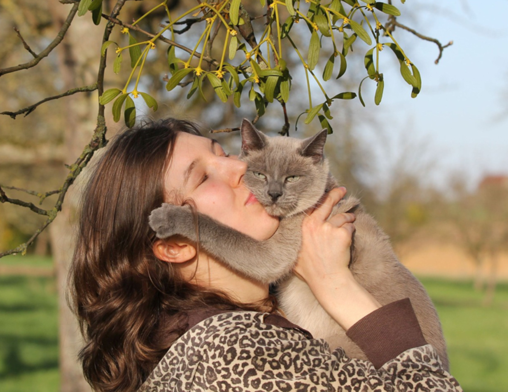 Gatto riceve coccole