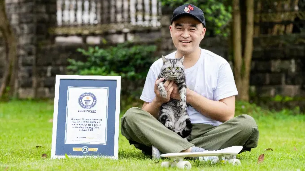 gatto da Guinness world record