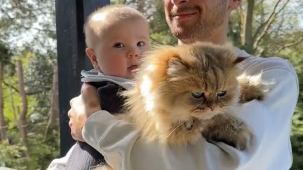 bambino e gatto tenuti in braccio