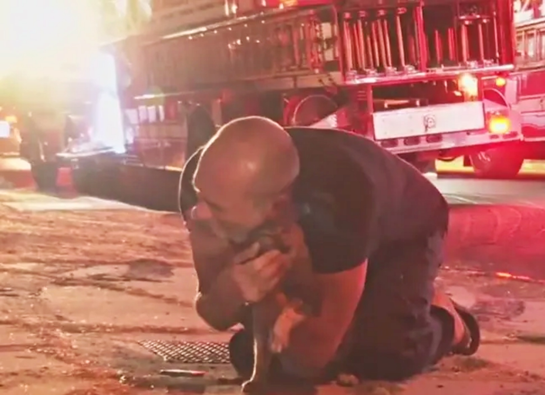 gatto salvato da casa in fiamme