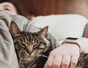 Non sempre sono un vantaggio: secondo alcuni studi i gatti “agitano” le nostre notti