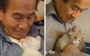 L’uomo che sosteneva di non amare i gatti cambia tutta la sua vita e ne adotta ben 75 (VIDEO)