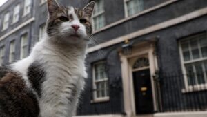Il gatto Larry di Downing Street accoglie i nuovi inquilini (premier e famiglia umana e a quattro zampe al seguito)