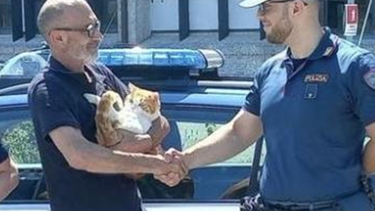 Gatto ritrovato dalla polizia