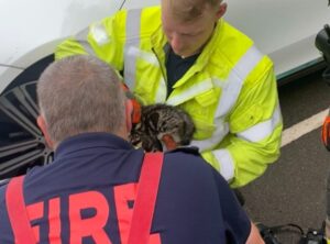 Pompieri inglesi salvano un gattino intrappolato nell’asse dell’auto