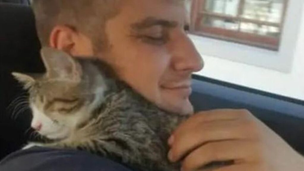 un ragazzo coccola il suo gatto