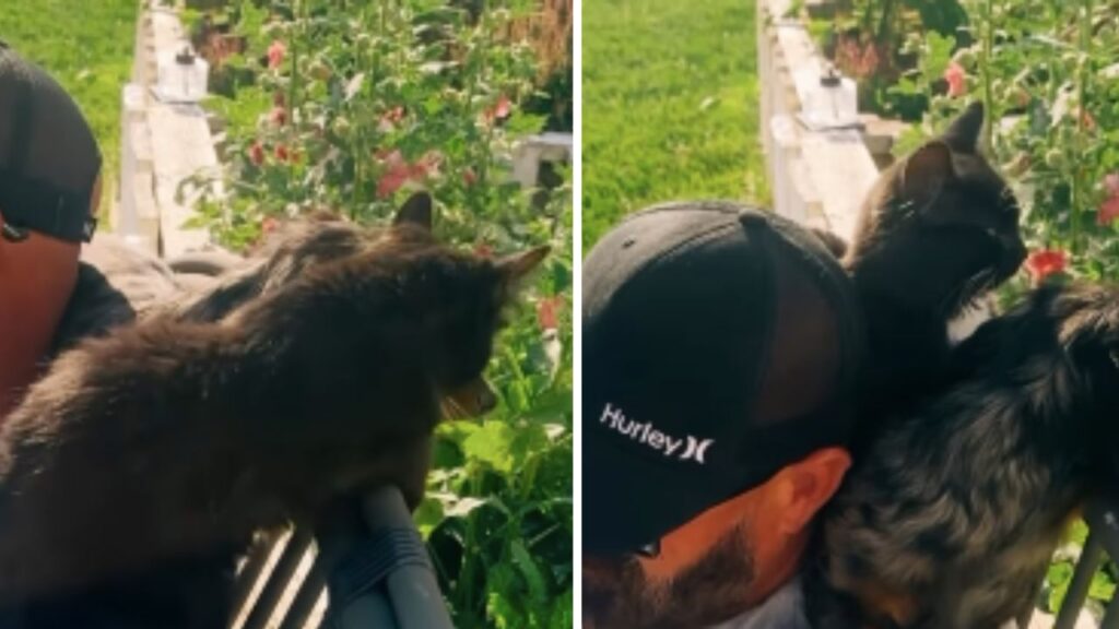 uomo che indossa un cappello con la visiera