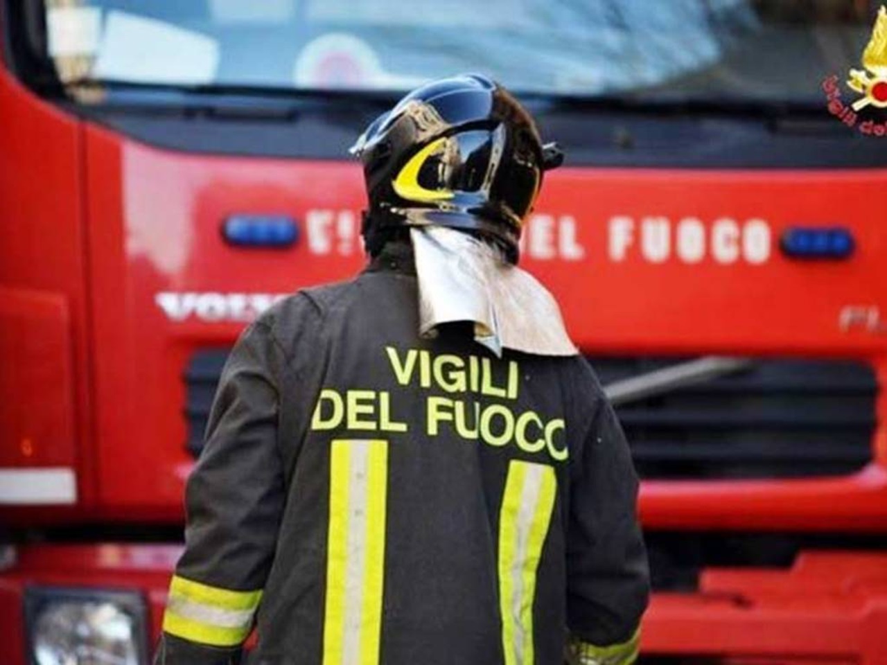 Gatto salvato dai Vigili del Fuoco