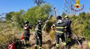 Gatto precipita in un pozzo dismesso: intervengono i vigili del fuoco