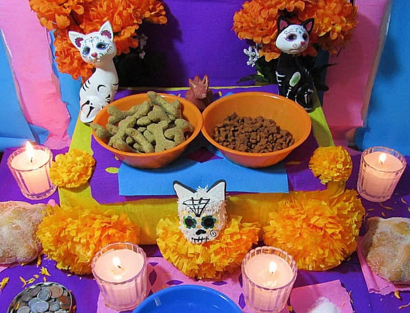 altare per gatti Dia de Los Muertos