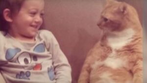 Il gatto stringe un legame speciale con un bambino dopo essere stato abbandonato per via del suo passato