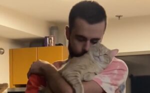 La vera relazione tossica? È quella che si è instaurata tra questo gatto e il fidanzato della sua padrona (VIDEO)