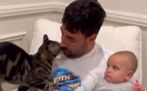 Il gatto ruba la scena al bambino durante la lettura della fiaba: parte una scenetta unica (VIDEO)