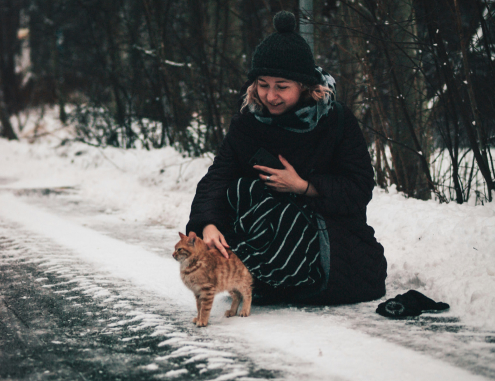 Gatto sulla neve