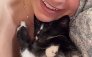 La reazione che ha il gatto ogni volta che il padrone gli parla è tutta da vedere: pura tenerezza (VIDEO)