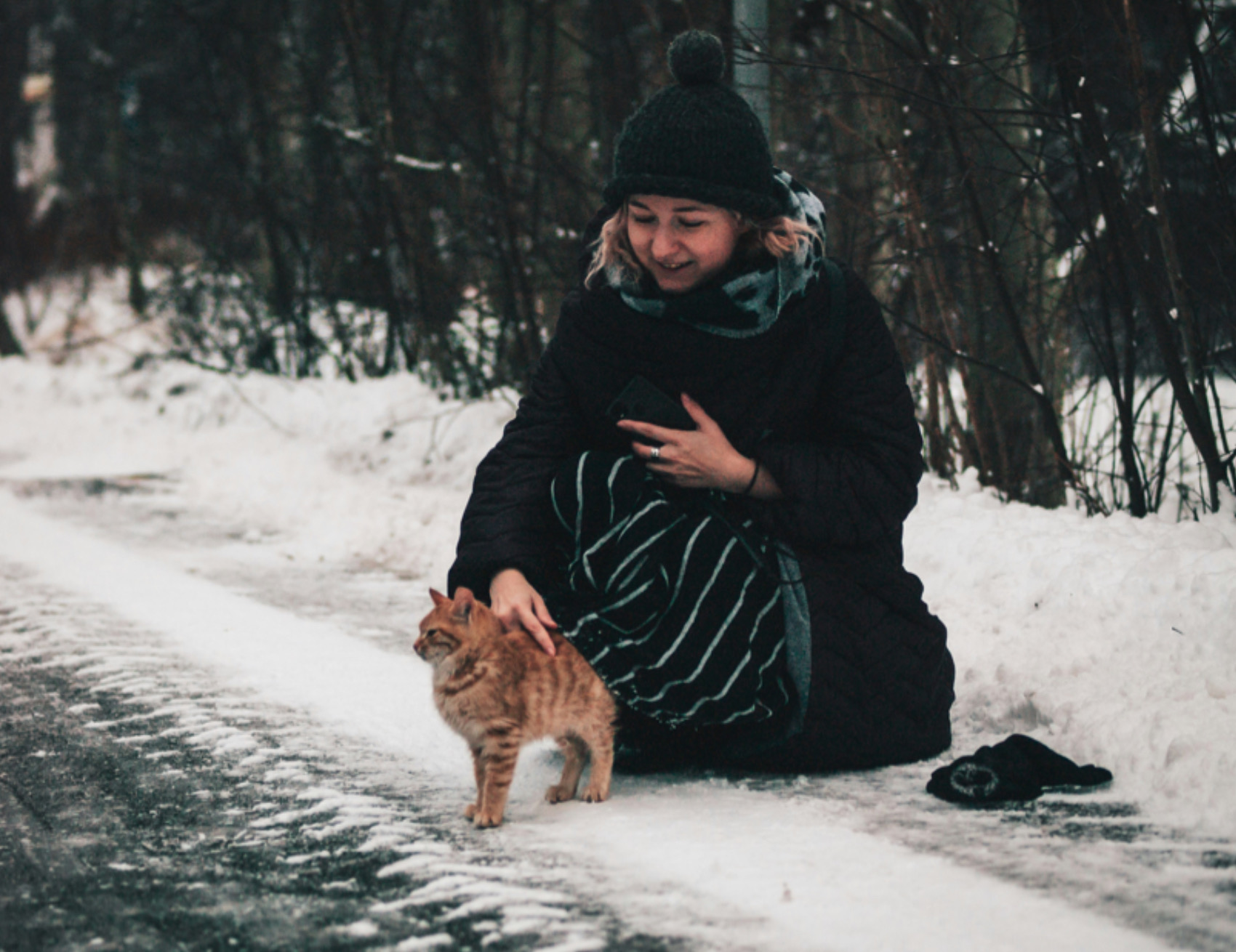 Gatto e neve