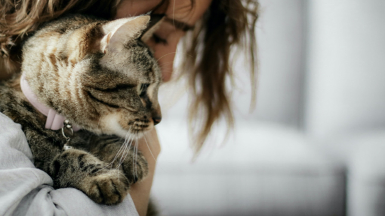 Gatto con la donna