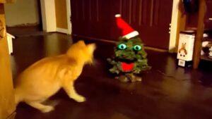 No, questo gatto non si aspettava affatto un incontro con un albero di Natale parlante – VIDEO