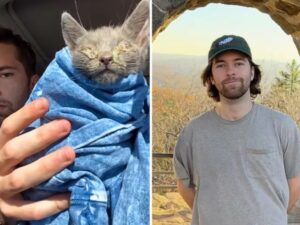 Il viaggio in solitaria di quest’uomo prende una piega inaspettata quando incontra un gattino malato